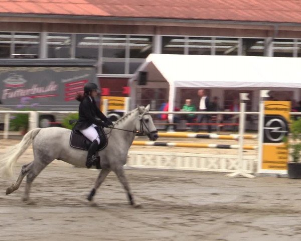 Reitturnier Werne 2021