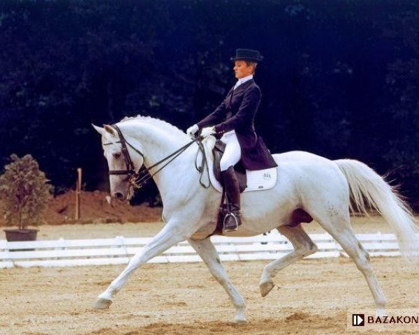 stallion Wieland (Thuringia, 1994, from Werenfels)