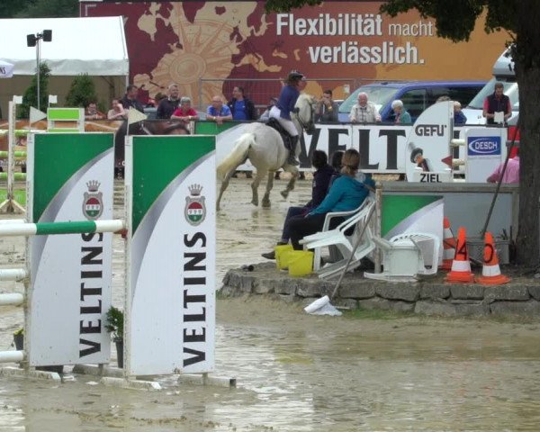 Reitturnier Hellefeld 2021