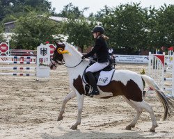 dressage horse Touch of Pink (Lewitzer, 2003, from Taffy's Snowdown)