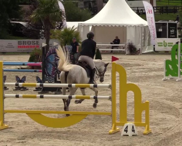 Reitturnier Schnarup-Thumby 2021