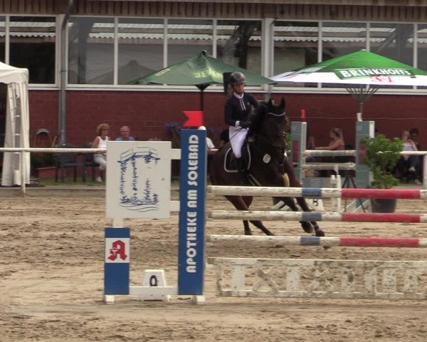 Reitturnier Werne 2021