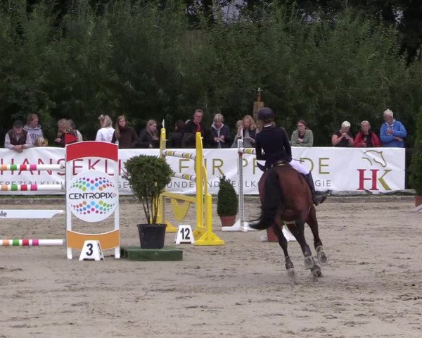 Reitturnier Schnarup-Thumby 2021