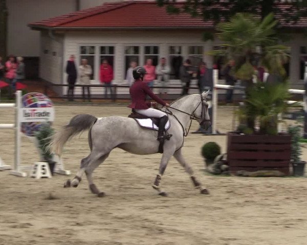 Reitturnier Schnarup-Thumby 2021