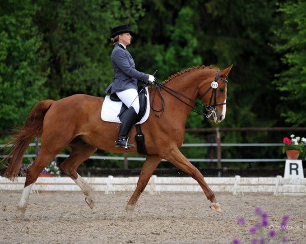 jumper Antaios tam Tam (Württemberger, 2000, from Asti Spumante 7)