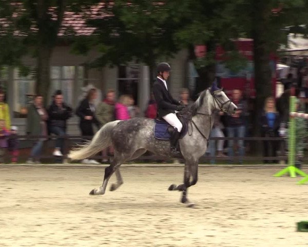 Reitturnier Schnarup-Thumby 2021