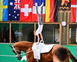 dressage horse Delia FRH (Hanoverian, 2005, from De Niro)