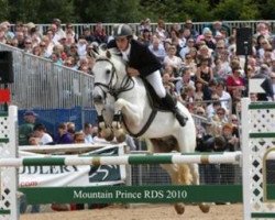 Springpferd Mountain Prince (Connemara-Pony, 2004, von Glencarrig Prince)