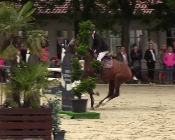 Reitturnier Schnarup-Thumby 2021