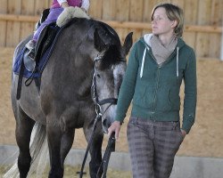 broodmare Cinja (Oldenburg show jumper, 2010, from Cassin 2)