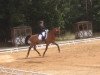 broodmare Rafina 14 (German Sport Horse, 2004, from Rilke)