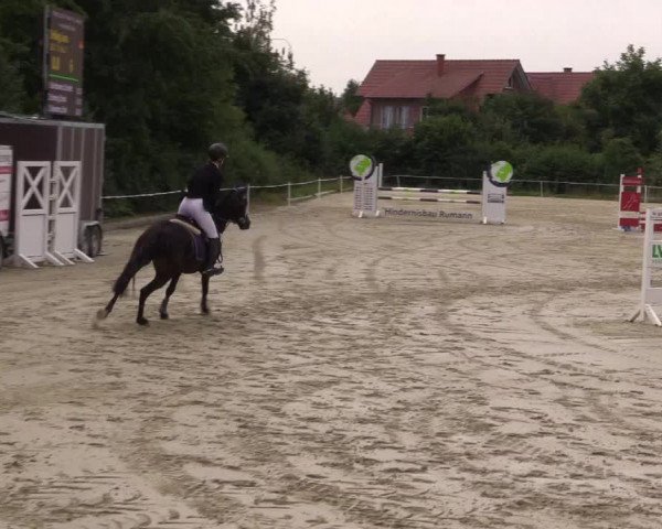 Pony Jumping TROPHY - Ascheberg 2021