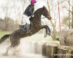 Springpferd Fantasy TCF (Deutsches Reitpony, 2006, von Special Dream TCF)