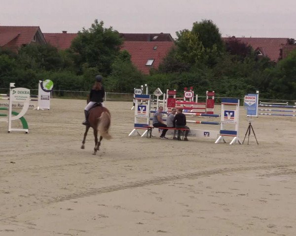 Pony Jumping TROPHY - Ascheberg 2021