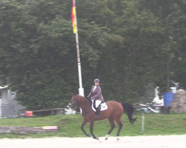 Springturnier Pietzpuhl 2021