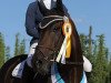 dressage horse Sansibar (Trakehner, 2006, from Zöllner xx)