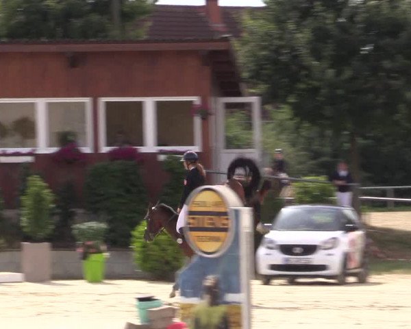 Pony Jumping TROPHY - Ascheberg 2021