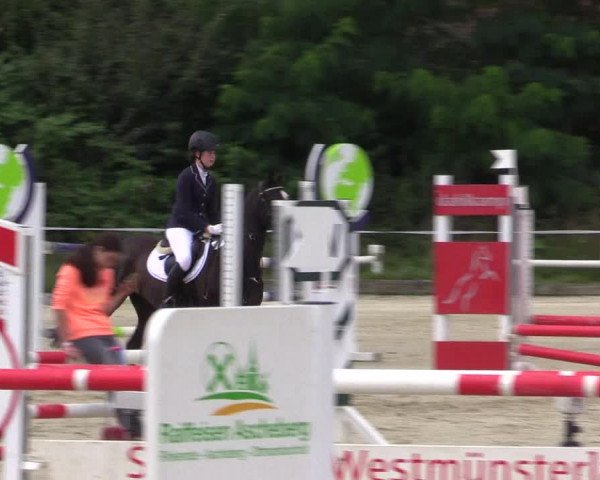 Pony Jumping TROPHY - Ascheberg 2021