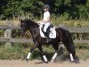 dressage horse Havanero B (German Riding Pony, 2009, from Hero)