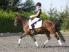 dressage horse Donna Dorina (German Riding Pony, 2004, from Kaiser As)