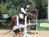 jumper Hinnek (German Riding Pony, 2004, from Crown Hartbreaker)