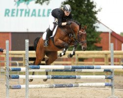 broodmare Akita A (German Riding Pony, 2010, from Airman xx)