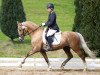 dressage horse Sammy Jo (German Riding Pony, 2009, from Eiluns Speedway)