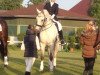 Dressurpferd Rousseau 51 (Hessisches Warmblut, 2002, von Rubin Star N)