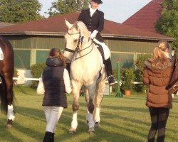 dressage horse Rousseau 51 (Hessian Warmblood, 2002, from Rubin Star N)