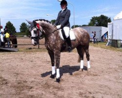 dressage horse Sissi (Oldenburg, 2006, from Inselfürst)