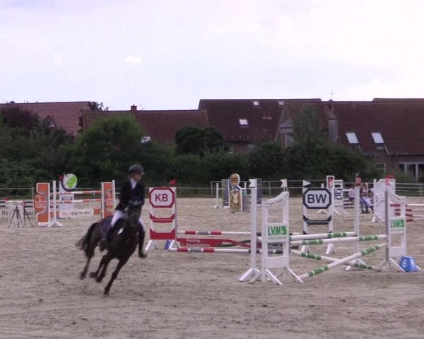 Pony Jumping TROPHY - Ascheberg 2021
