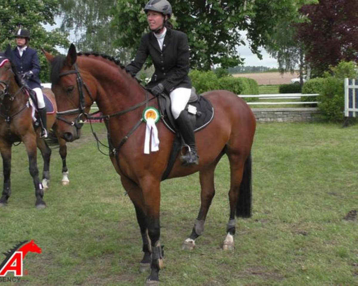 dressage horse Stute von Fidergold (German Sport Horse,  , from Fidergold)