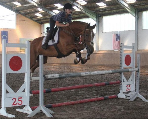 dressage horse Grace (German Sport Horse, 2004)