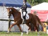 dressage horse Londonbeat 7 (Hanoverian, 2010, from Londontime)