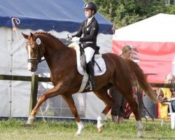 dressage horse Londonbeat 7 (Hanoverian, 2010, from Londontime)