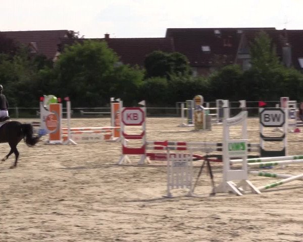 Pony Jumping TROPHY - Ascheberg 2021