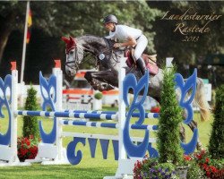 jumper Zora 152 (Oldenburg show jumper, 2009, from Corlensky G)