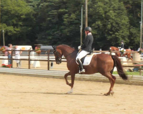 Sommerturnier Ostbevern 2021