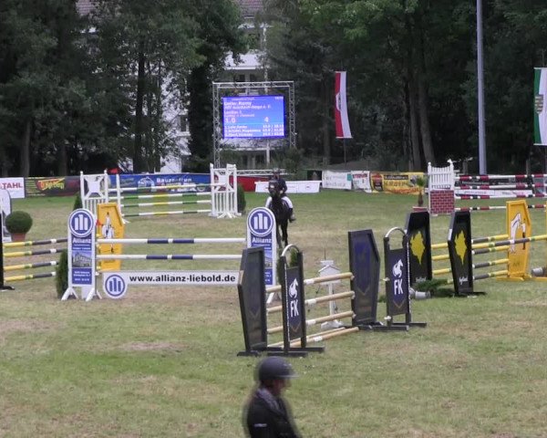 Reitturnier Lengenfeld/Vogtl. 2021