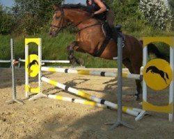 dressage horse Lontano (Oldenburg, 2006)