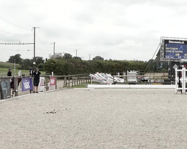 Concours Hippique de Dompierre 2021