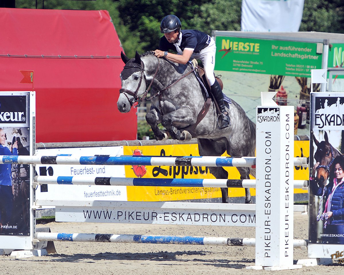 jumper Cloney 2 (Holsteiner, 2009, from Clearway)
