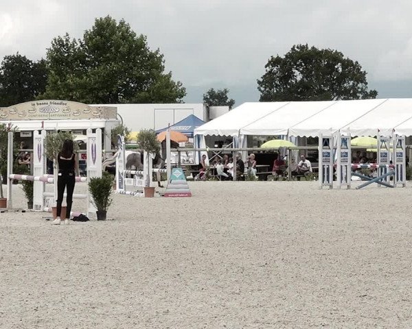 Concours Hippique de Dompierre 2021