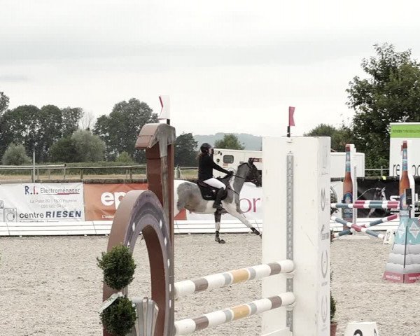 Concours Hippique de Dompierre 2021