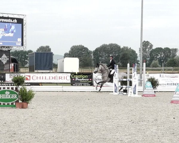 Concours Hippique de Dompierre 2021