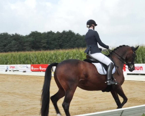 Sommerturnier Ostbevern 2021