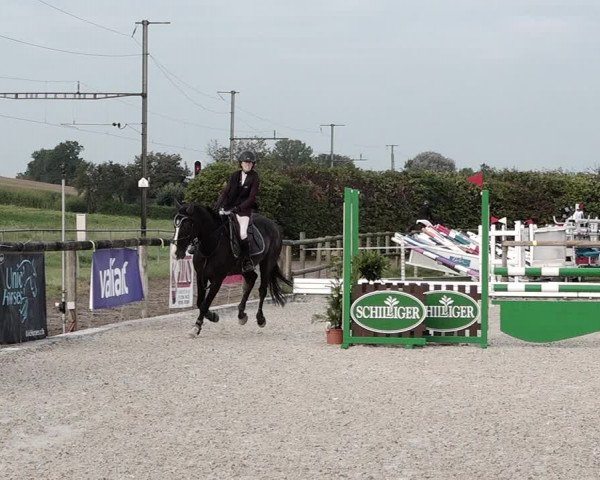 Concours Hippique de Dompierre 2021