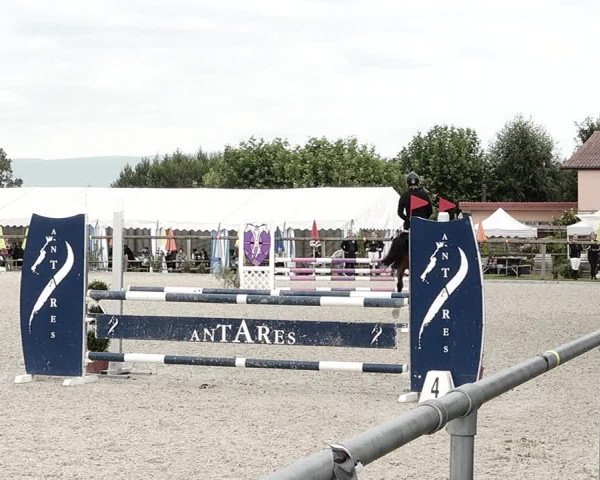 Concours Hippique de Dompierre 2021