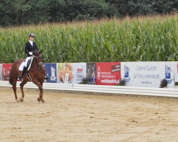 Sommerturnier Ostbevern 2021