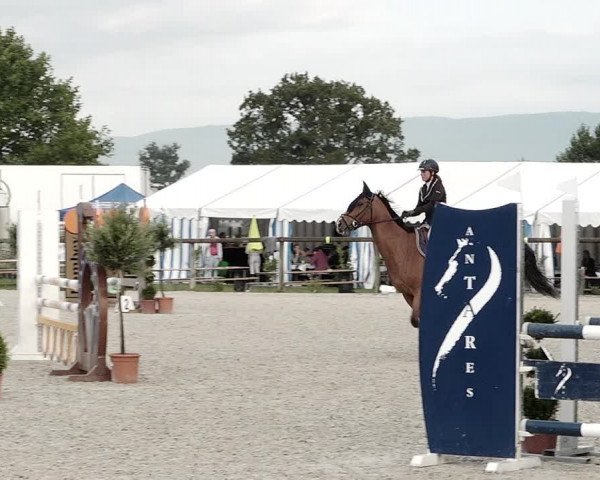 Concours Hippique de Dompierre 2021